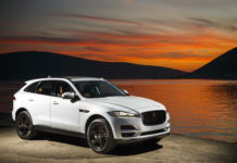 Raubkatze für die Berge