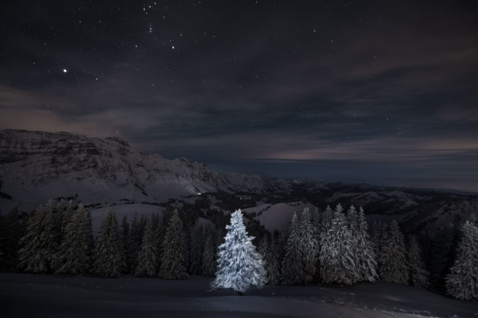 Sony World Photography Awards Gewinnerbild Schweiz