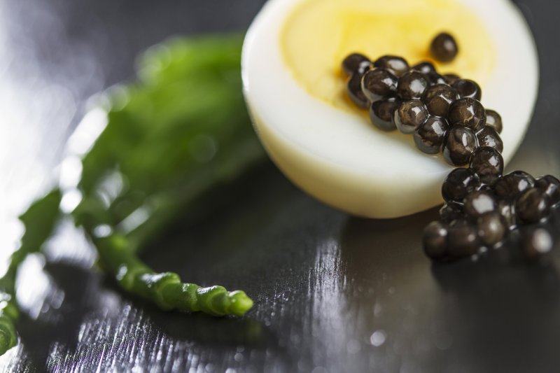 Schweizer OonaCaviar