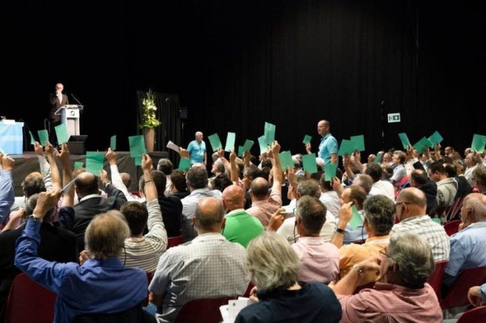 VSEI-Mitglieer stimmen an GV ab.