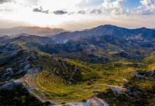 Weiss- & Rosé-Weine 2019 aus Zypern