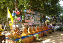 „hansschaefer.com“ – ein packender „reality thriller“!