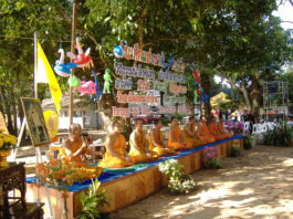 „hansschaefer.com“ – ein packender „reality thriller“!