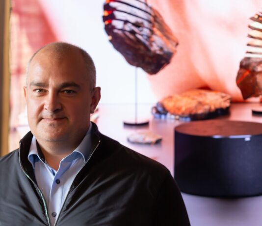 Wie Loewe es schaffte, sich trotz Krise neu zu positionieren