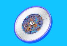 Mit First-Class-Schulungen zum Cybersecurity-Profi