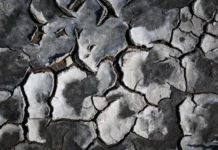 Sony – Professioneller Foto-Wettbewerb © Alessandro Gandolfi, Italy, Finalist, Professional competition, Still Life, Sony World Photography Awards 2025