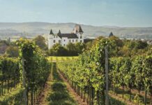 Für einmal Schlossherr sein nahe Luxemburg Copyright-Paul-Mukian