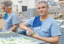 Cybersecurity im Zeichen von DDoS und KI-Betrug