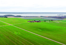 ewz baut 24-MW-Solarpark in Schweden Montage Solarpark Ulvasa/Schweden