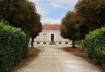 Wine und Food Pairing: Lunch-Entdeckungen aus Bordeaux