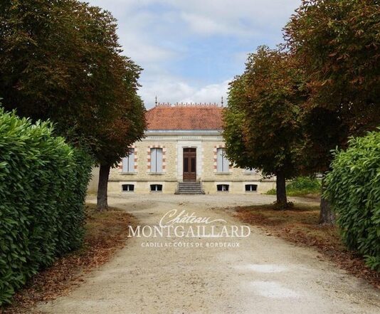 Wine und Food Pairing: Lunch-Entdeckungen aus Bordeaux