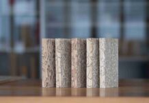 Wie Pilze Holz veredeln können Pilze zeichnen im Marmorholz ein Muster, das nicht an der Oberfläche der Bretter bleibt, sondern sich durch das ganze Holzstück zieht. Bild: Empa